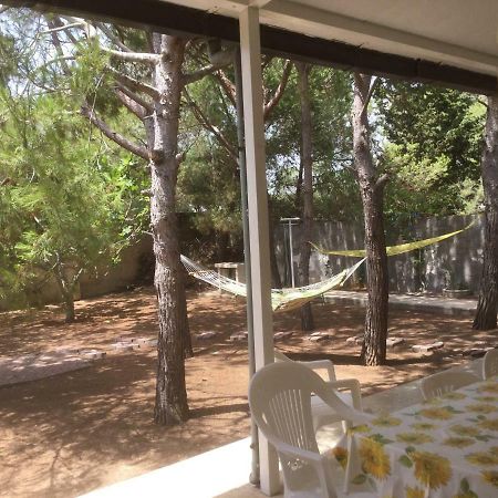 贝瓦尼亚圣彼得Il Marchese Mirante住宿加早餐旅馆 外观 照片