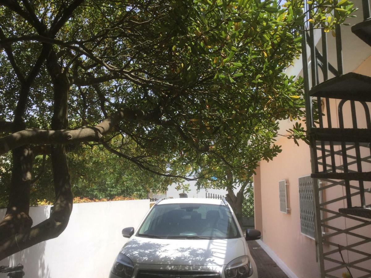 贝瓦尼亚圣彼得Il Marchese Mirante住宿加早餐旅馆 外观 照片